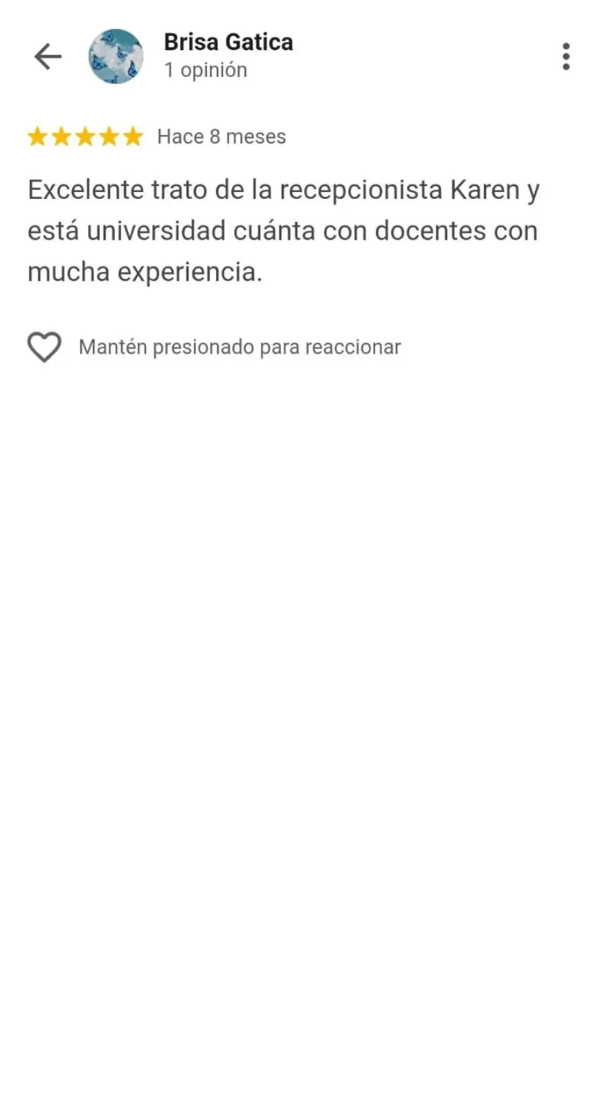 Opinión Google 2